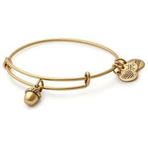 Alex and ani acorn gold bracelet